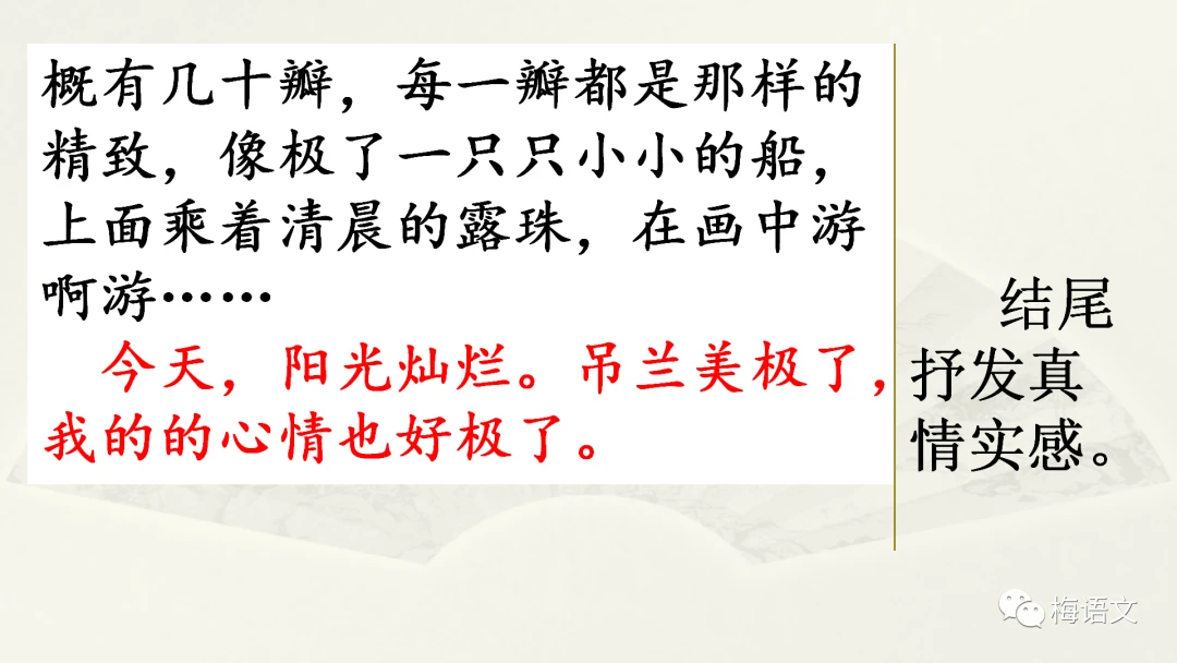 篮球训练营中试训的表现评估方法_0